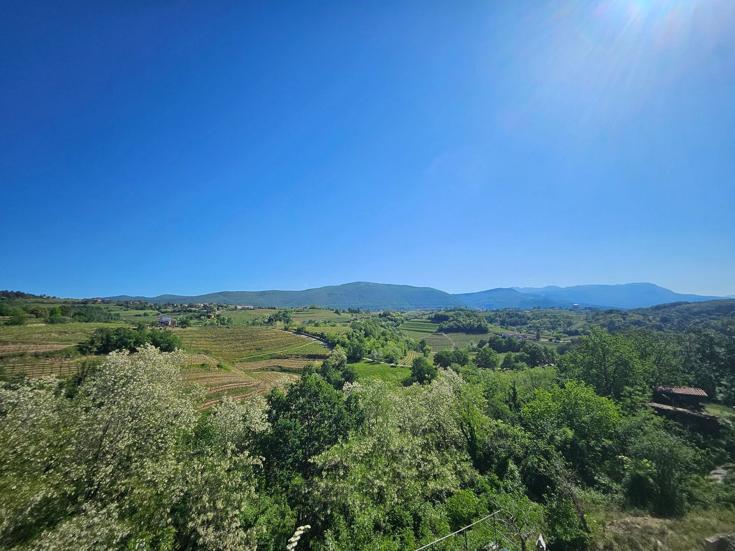 Paesaggio soleggiato di verdi colline e alberi sotto un cielo azzurro limpido