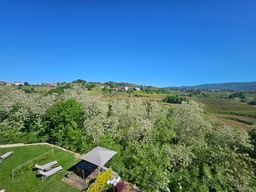 Un ampio paesaggio verde con alberi in fiore, un tavolo da picnic e un piccolo riparo sotto un cielo azzurro brillante.