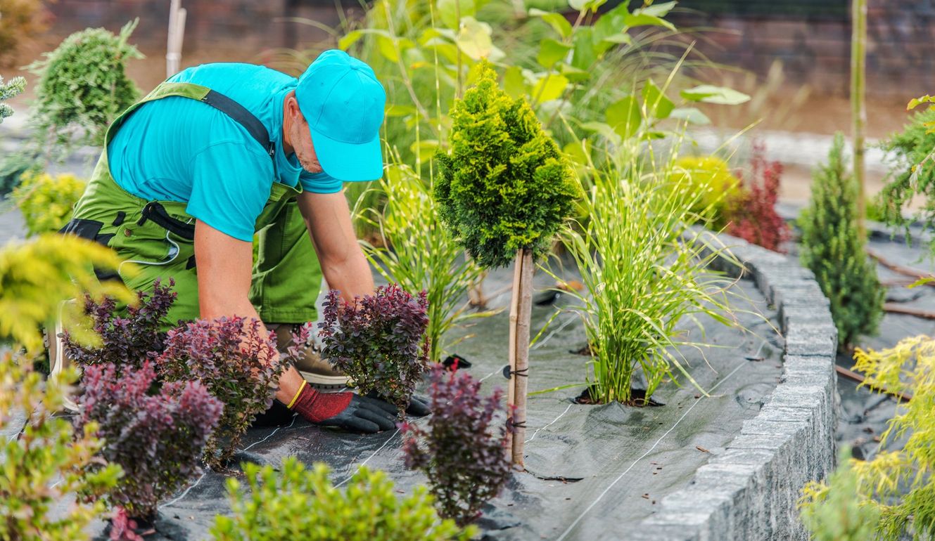 A Man is Planting Trees in a Garden
