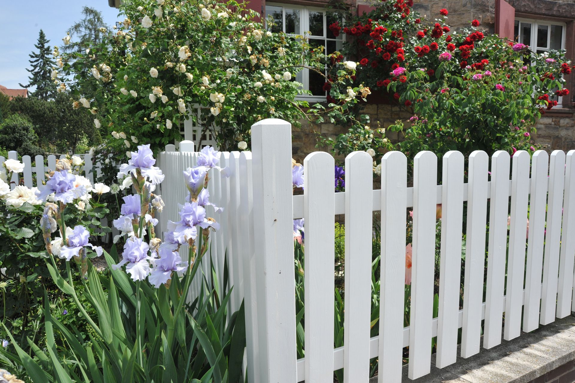 A White Picket Fence Surrounds a Garden Filled With Flowers