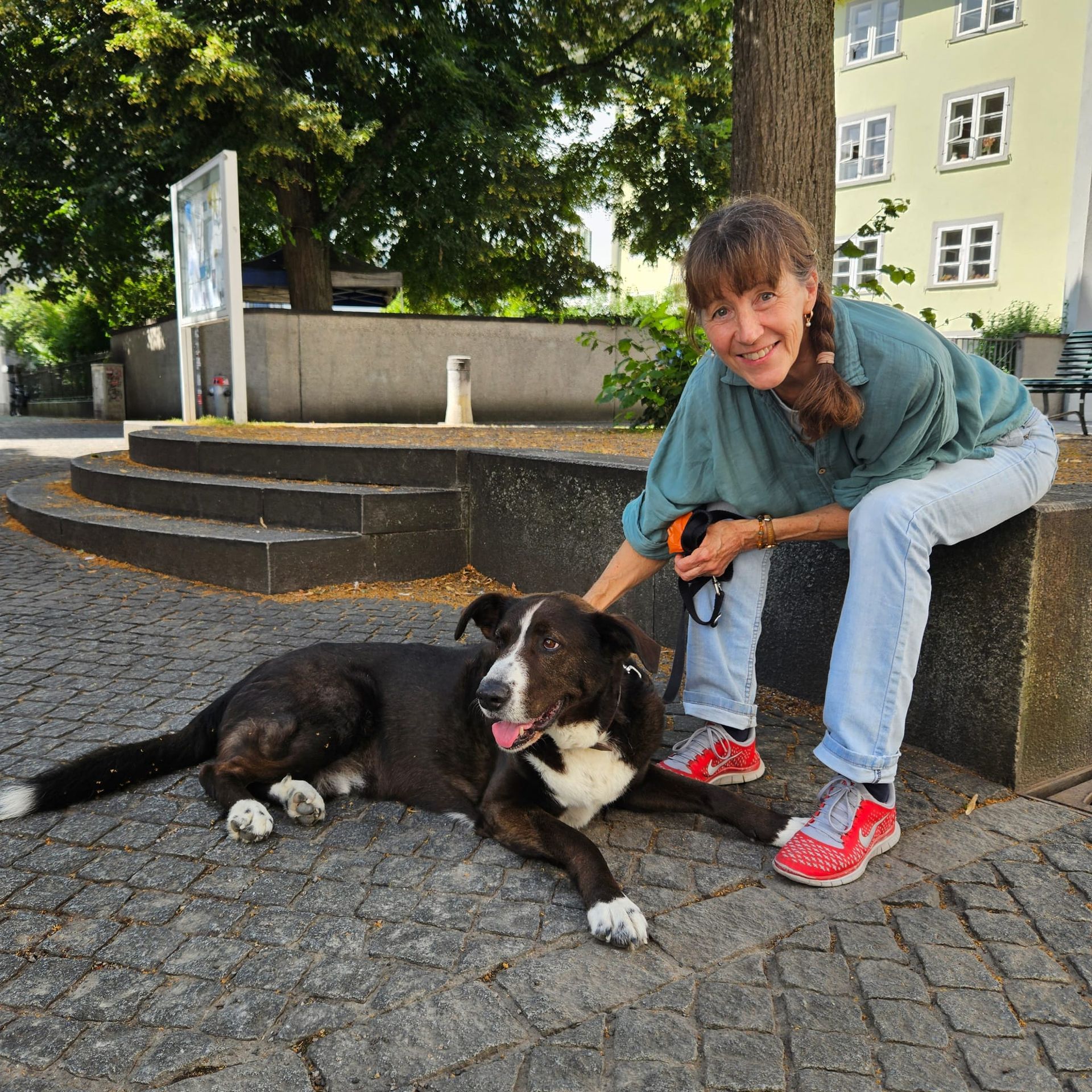 Sue Koll