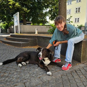 Sue Koll