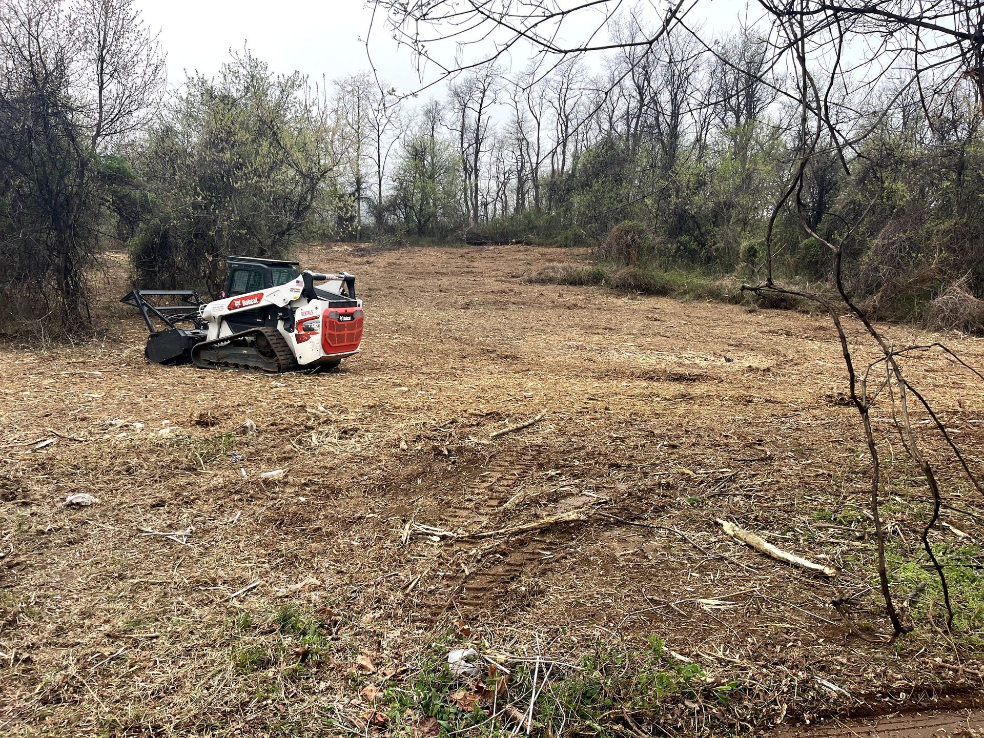 Small white-and-red off-road vehicle in a bare, wooded clearing with leaf litter and sparse trees.