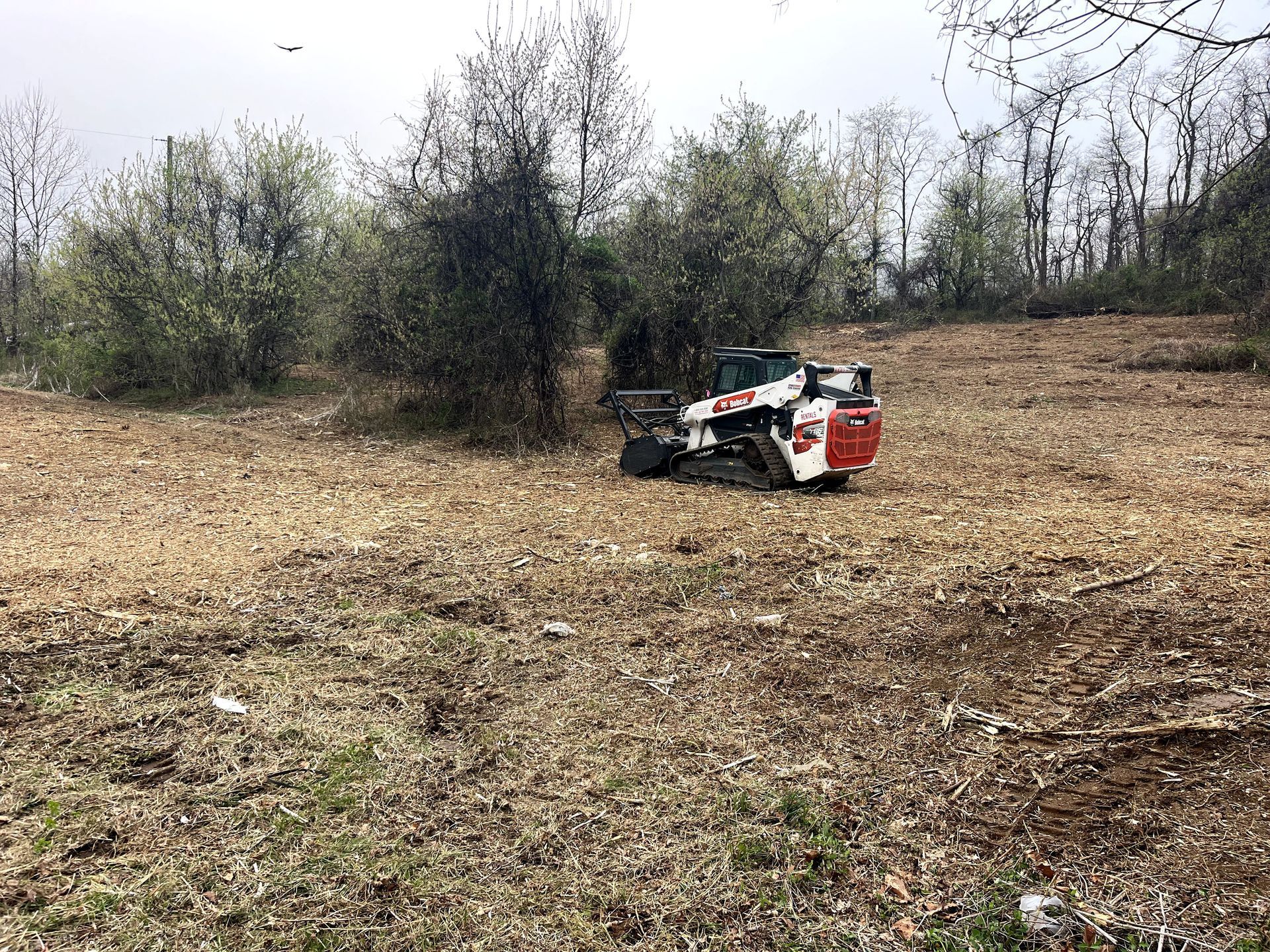 Small red-and-white tractor in a dry, open field with trees in the background