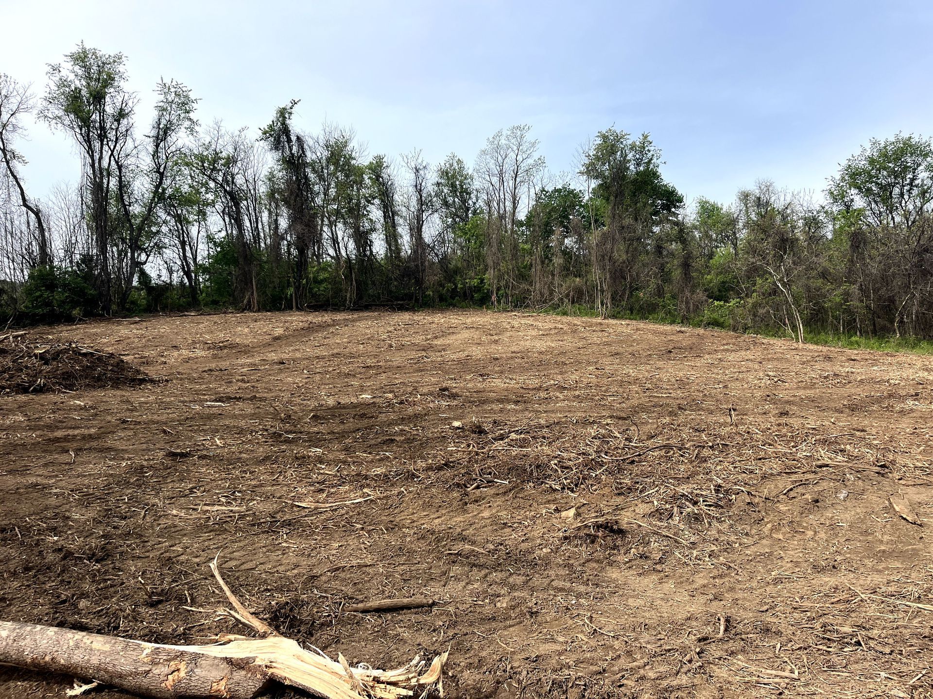 Cleared dirt field bordered by sparse trees under a bright sky