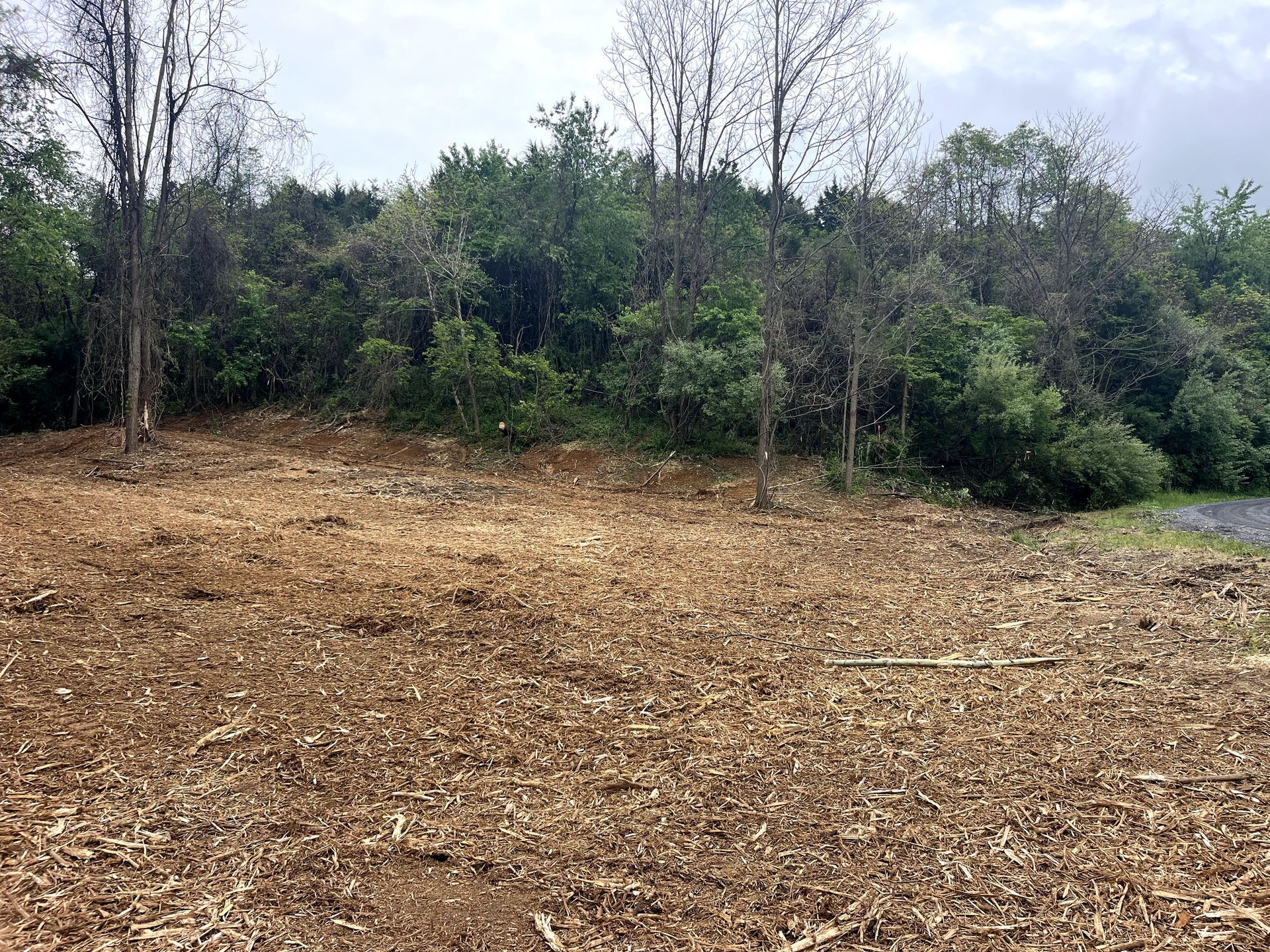 Cleared dirt lot with wood chips in front of a tree line and overcast sky