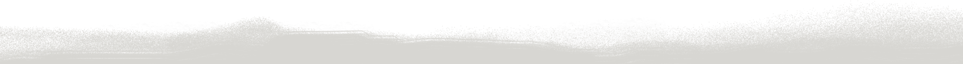 decorative divider