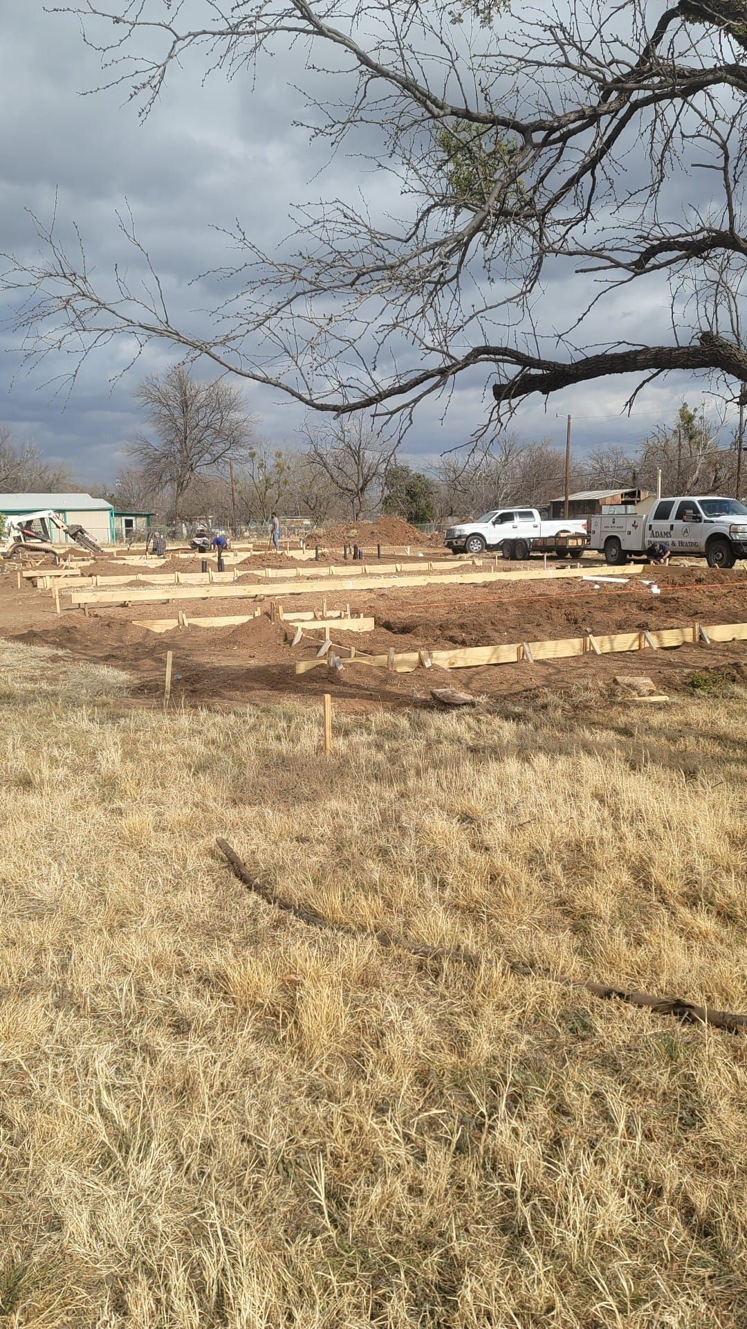 Rural field with dry grass, bare trees, and parked vehicles under a cloudy sky.