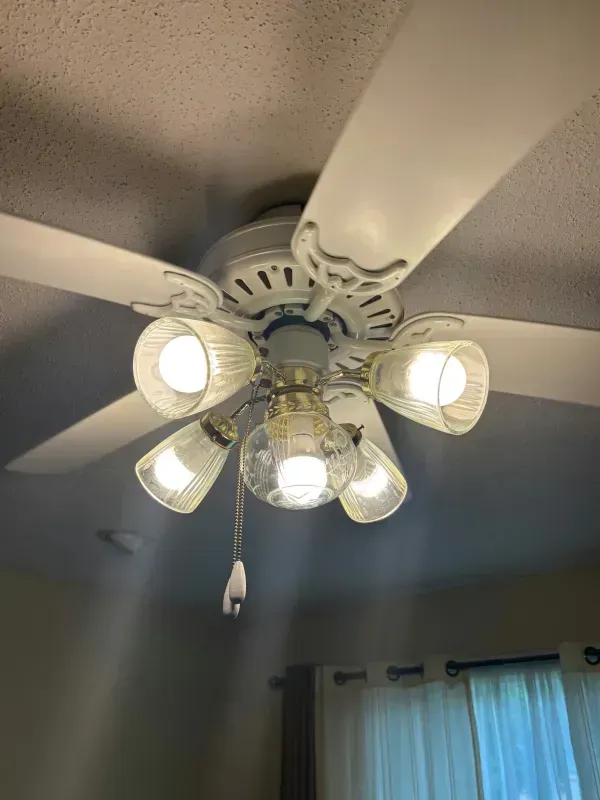 White ceiling fan with lit glass light shades in a room with curtains and a window