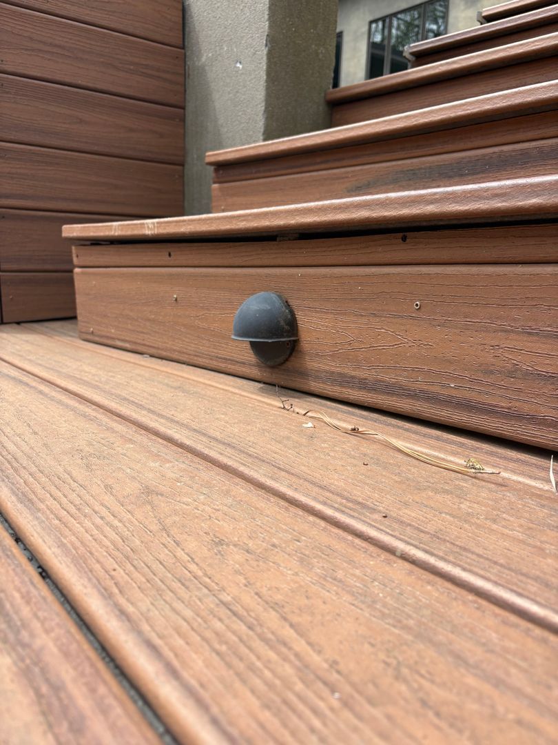 Close-up of a small black round object on a brown wooden outdoor step.