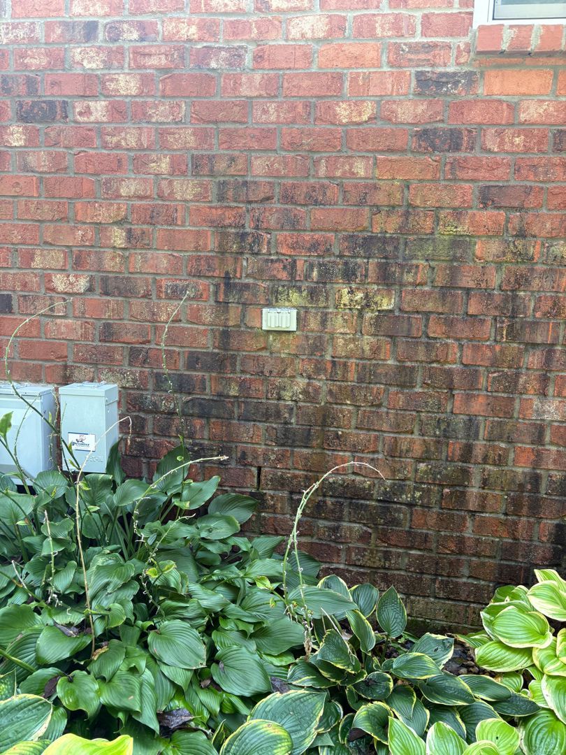 Red brick wall with a small sign, overgrown by green plants at the base.