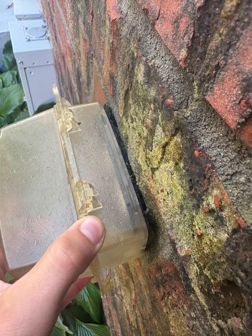 Close-up of a hand scraping green moss from a brick wall with a putty knife