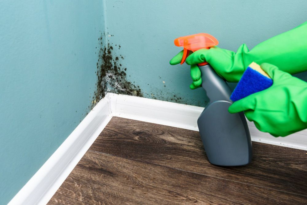 A Person Is Cleaning a Corner of A Room with A Spray Bottle and Sponge — North Coast Commercial Cleaners In Maroochydore, QLD