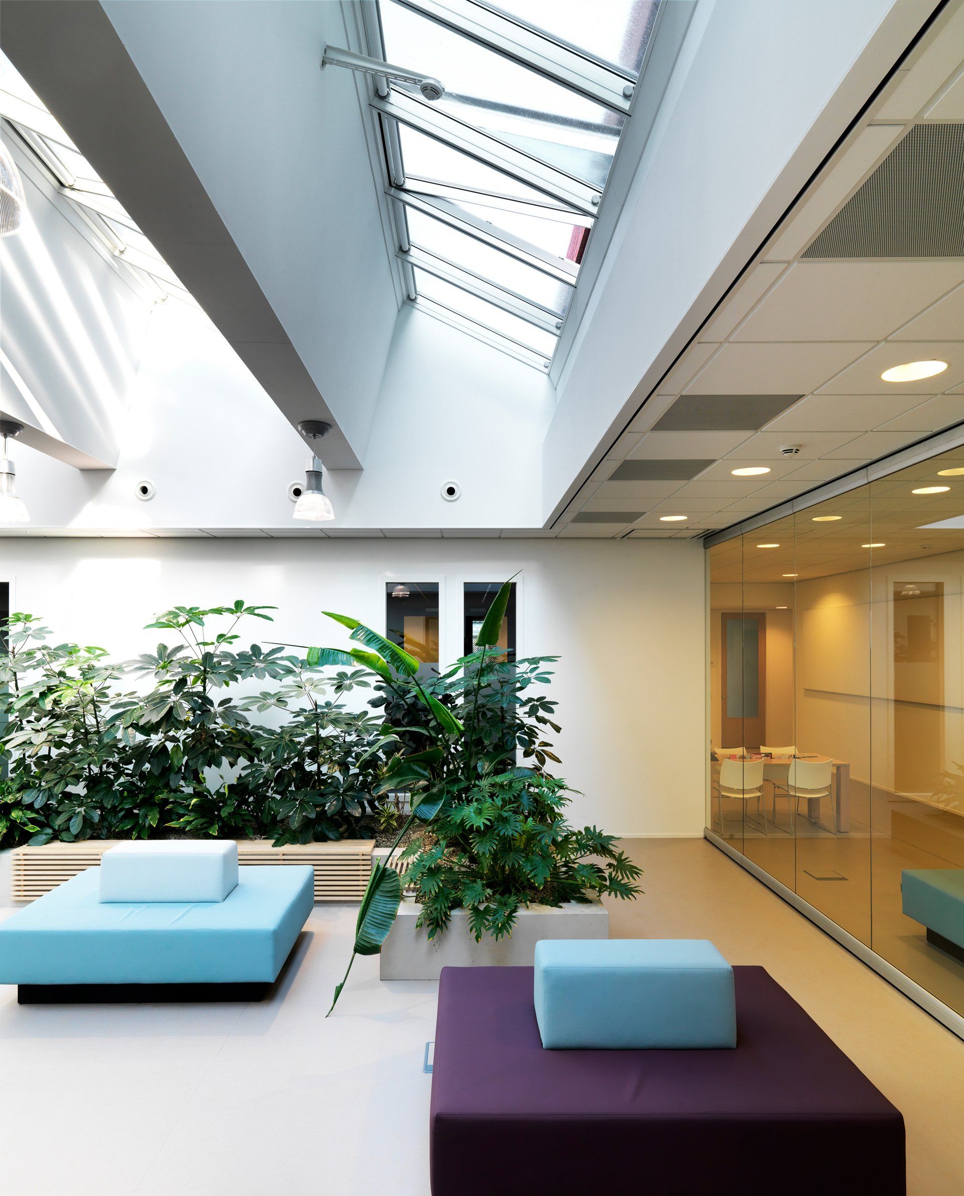 Hospital Rotterdam, The Netherlands.For Velux  ©Dick Holthuis International Architectural Photographer