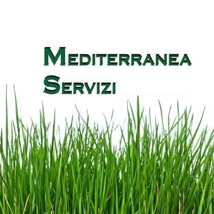 Logo Mediterranea Servizi sopra un prato verde su sfondo bianco