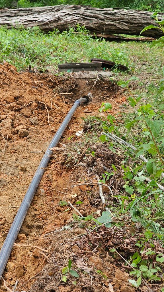 Black hose or pipe lying along a muddy dirt path in a wooded area, with green plants and fallen logs nearby