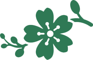 Flower — Shreveport, LA — Lex Plant Farm