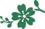 Flower — Shreveport, LA — Lex Plant Farm