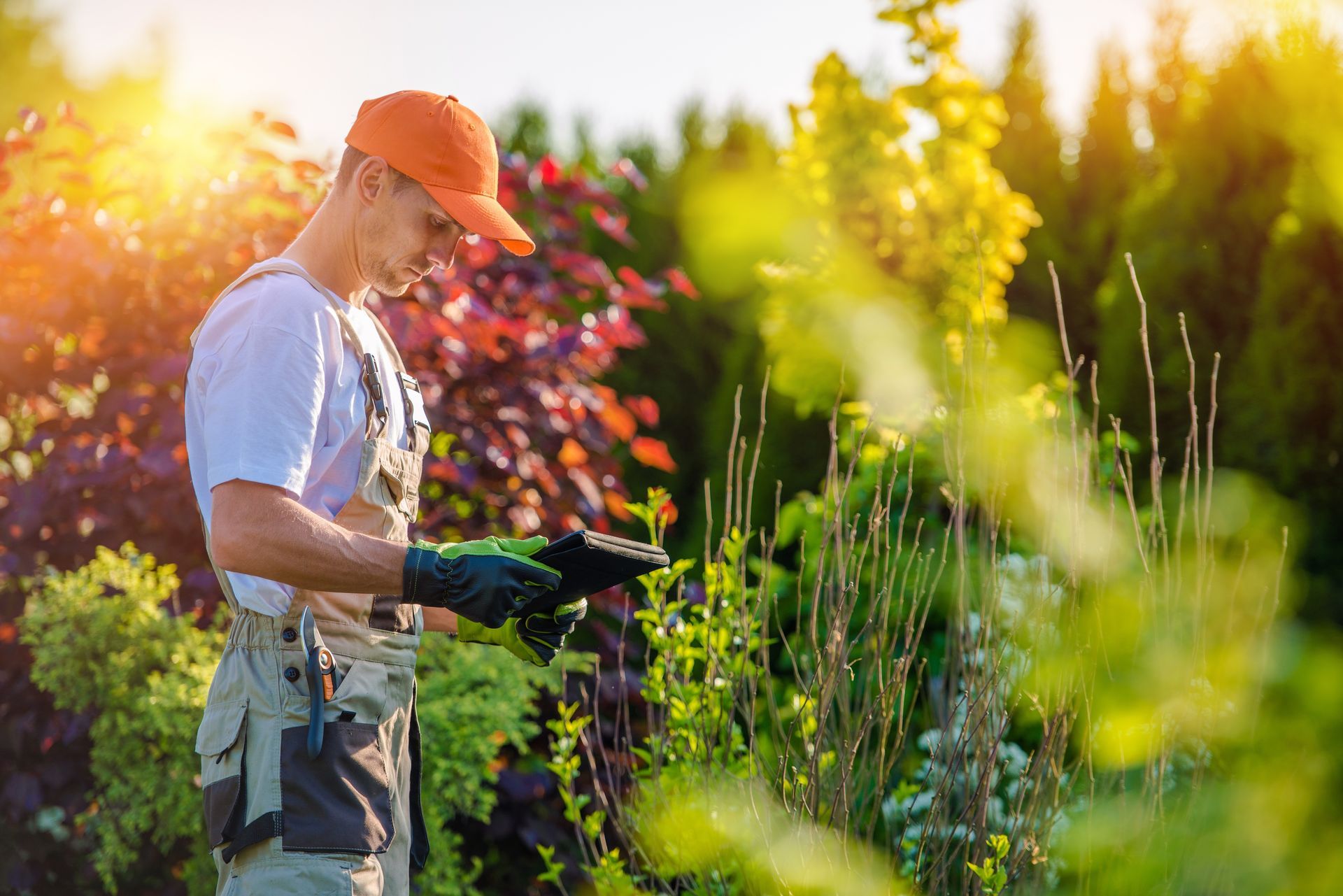 A landscaper using a tablet while tending to plants in a vibrant garden setting