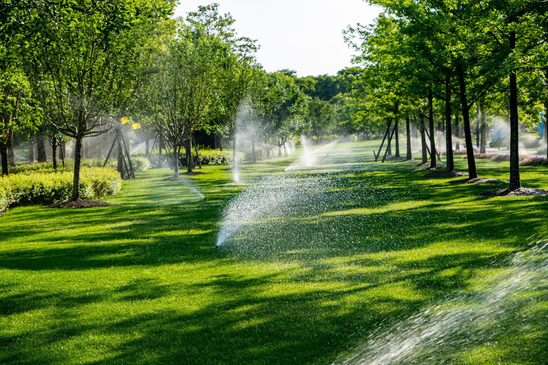 Water sprinklers watering a green lawn with trees in a sunny park. Water sprinklers watering a green lawn with trees in a sunny park.