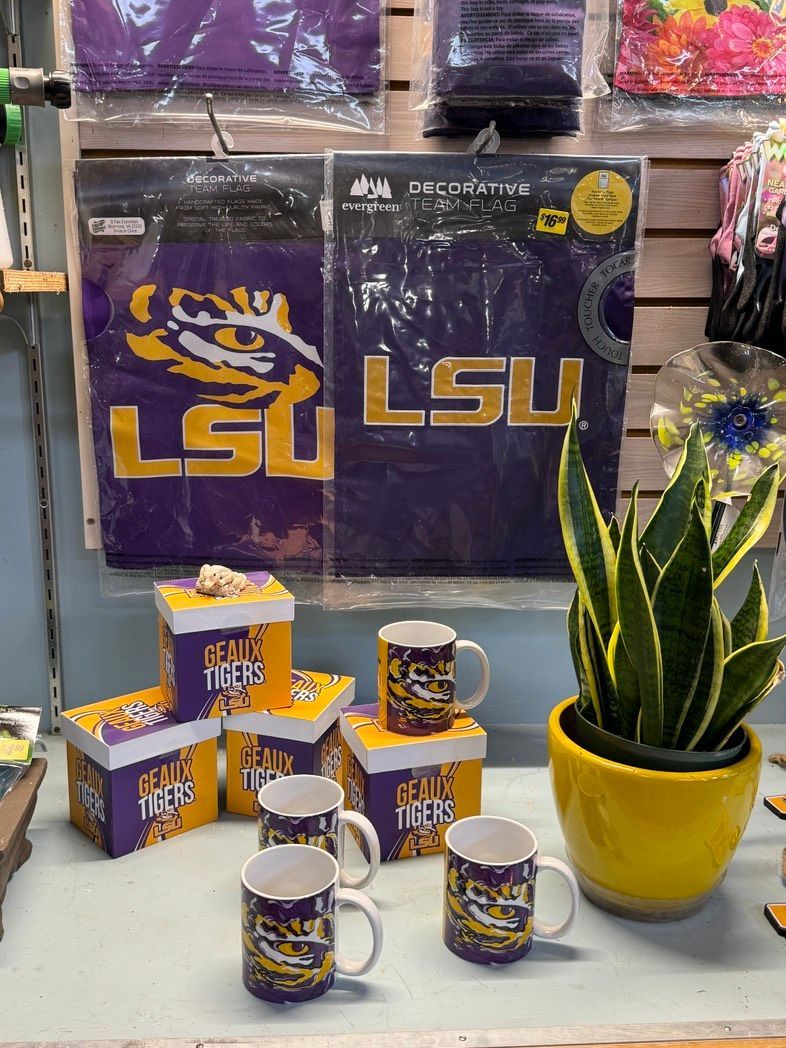 LSU-themed mugs and boxes on display beside a yellow potted snake plant.