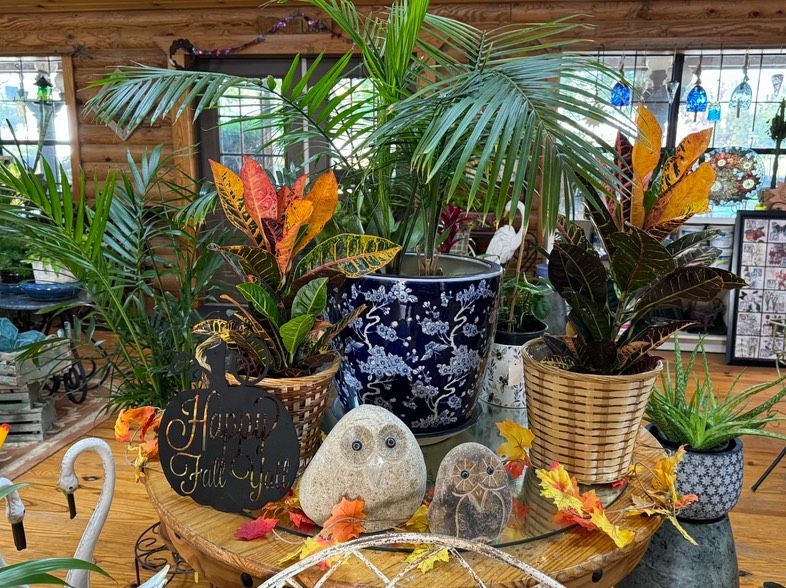 Decorative indoor plant display with colorful tropical leaves, woven baskets, and a white owl figurine