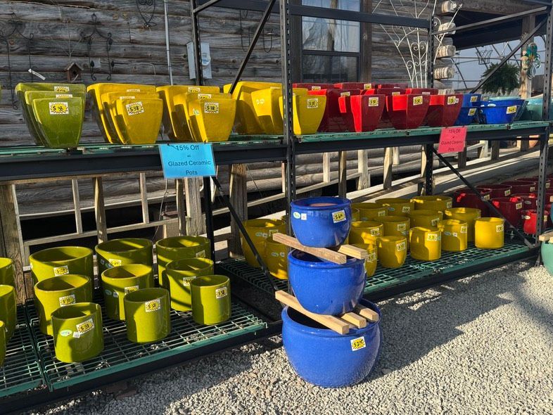 Rows of yellow and red buckets on metal shelves in a greenhouse or storage area.