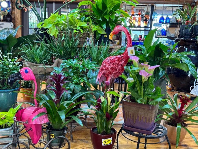 Garden center display with bright pink flamingo planters among lush green potted plants
