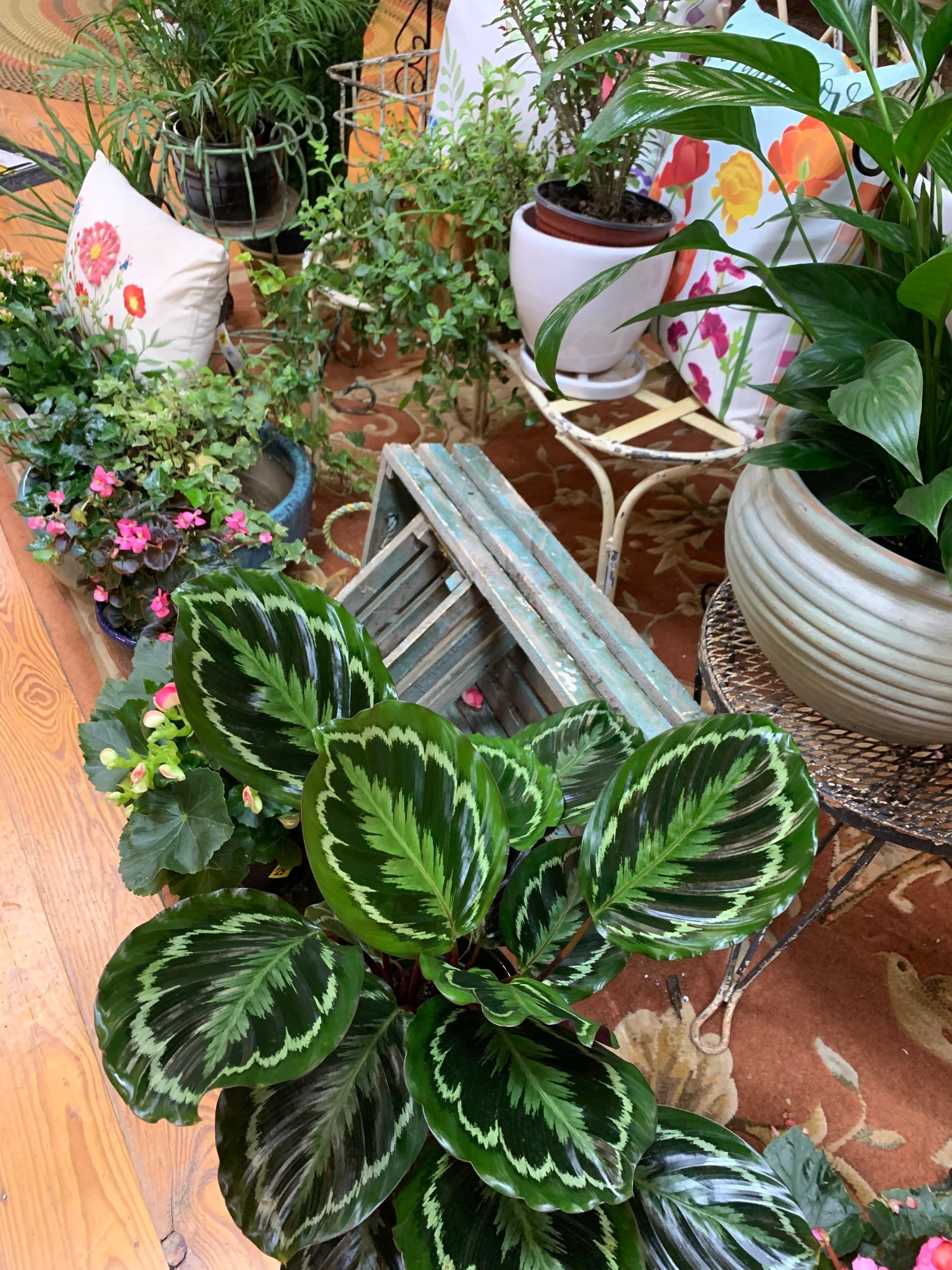 Potted green and pink plants arranged on a brick patio with a small chair and garden decor
