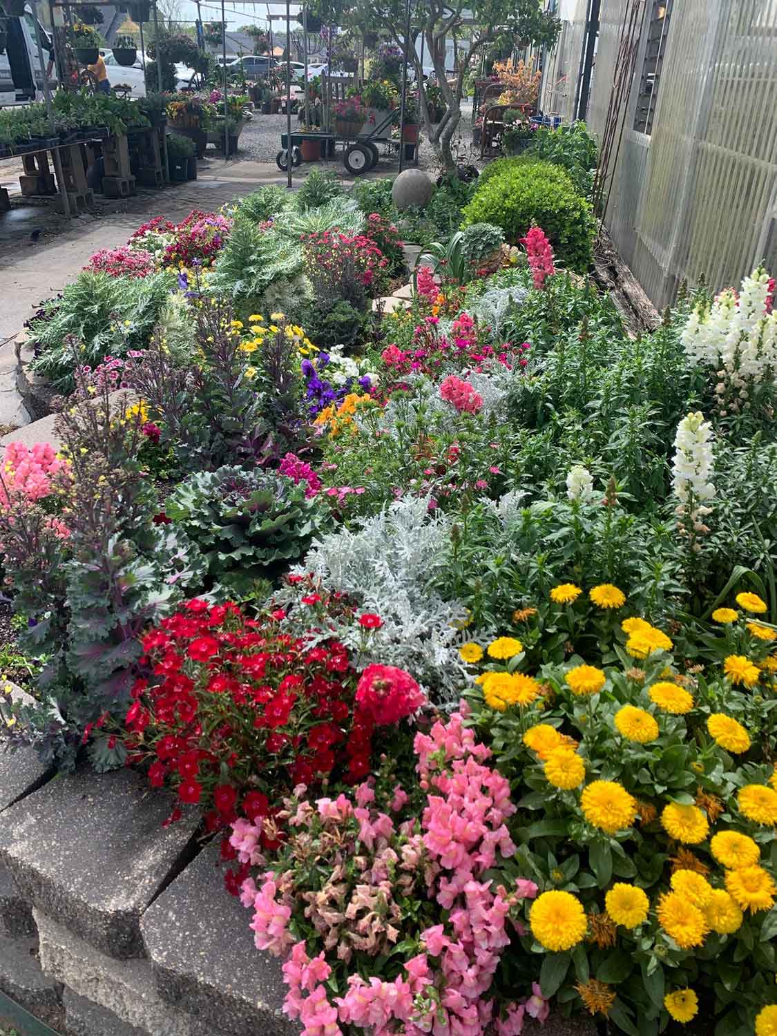 Garden Flowers — Shreveport, LA — Lex Plant Farm