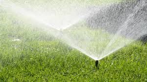Sprinklers spraying water over a lush green lawn in daylight
