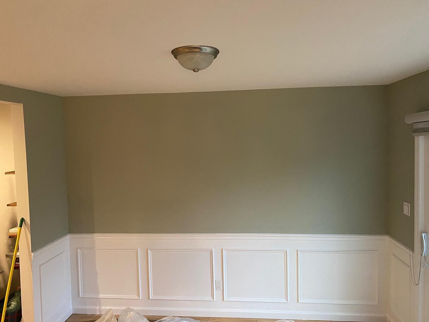 Empty room with sage green walls, white wainscoting, and a ceiling light fixture.