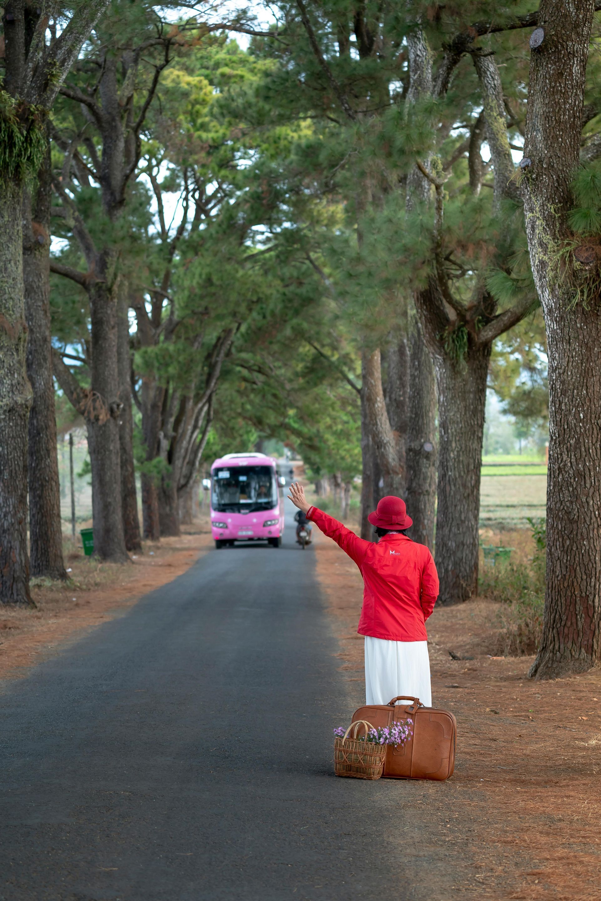 Book train, bus, ferry, taxi click here