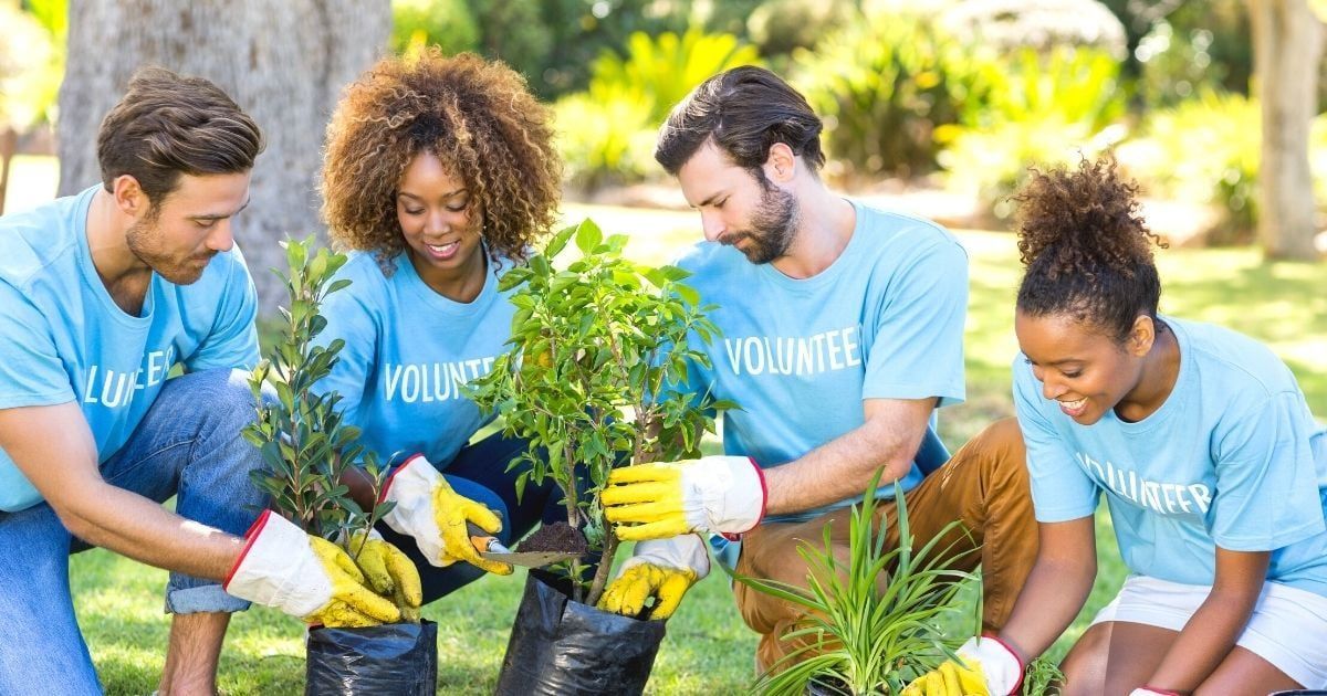 Common Volunteer Activities: Who’s Doing What?