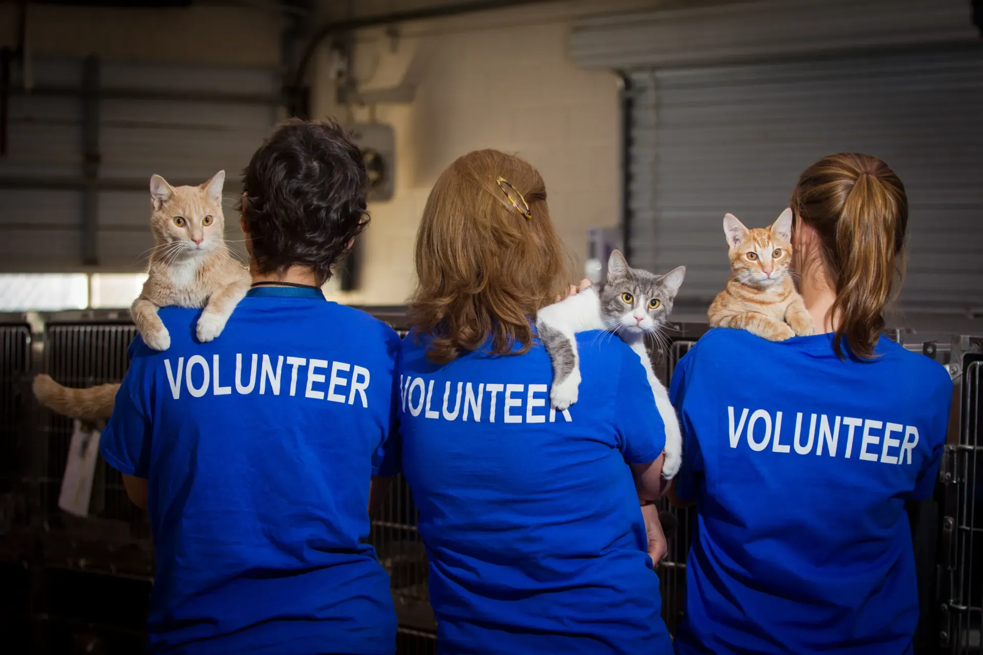 Local Volunteer Opportunities That Don’t Cost a Dime