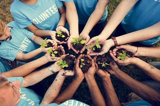 Start Small and Grow