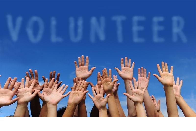 How to Know If a Volunteer Program Is Legitimate