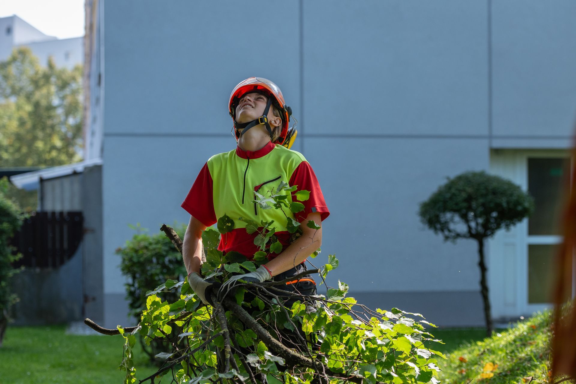Person in safety gear carrying tree branches outdoors.