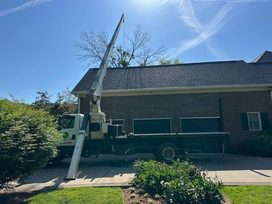Tree cutting service Nasville, TN Tree cutting service Nasville, TN