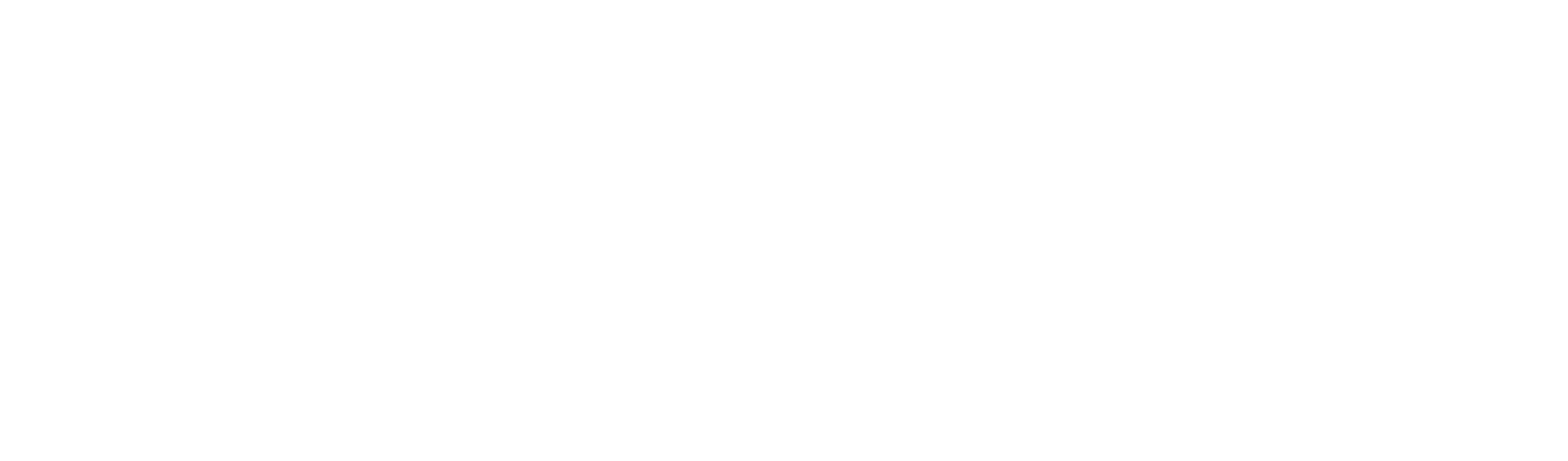 Motis Consulting