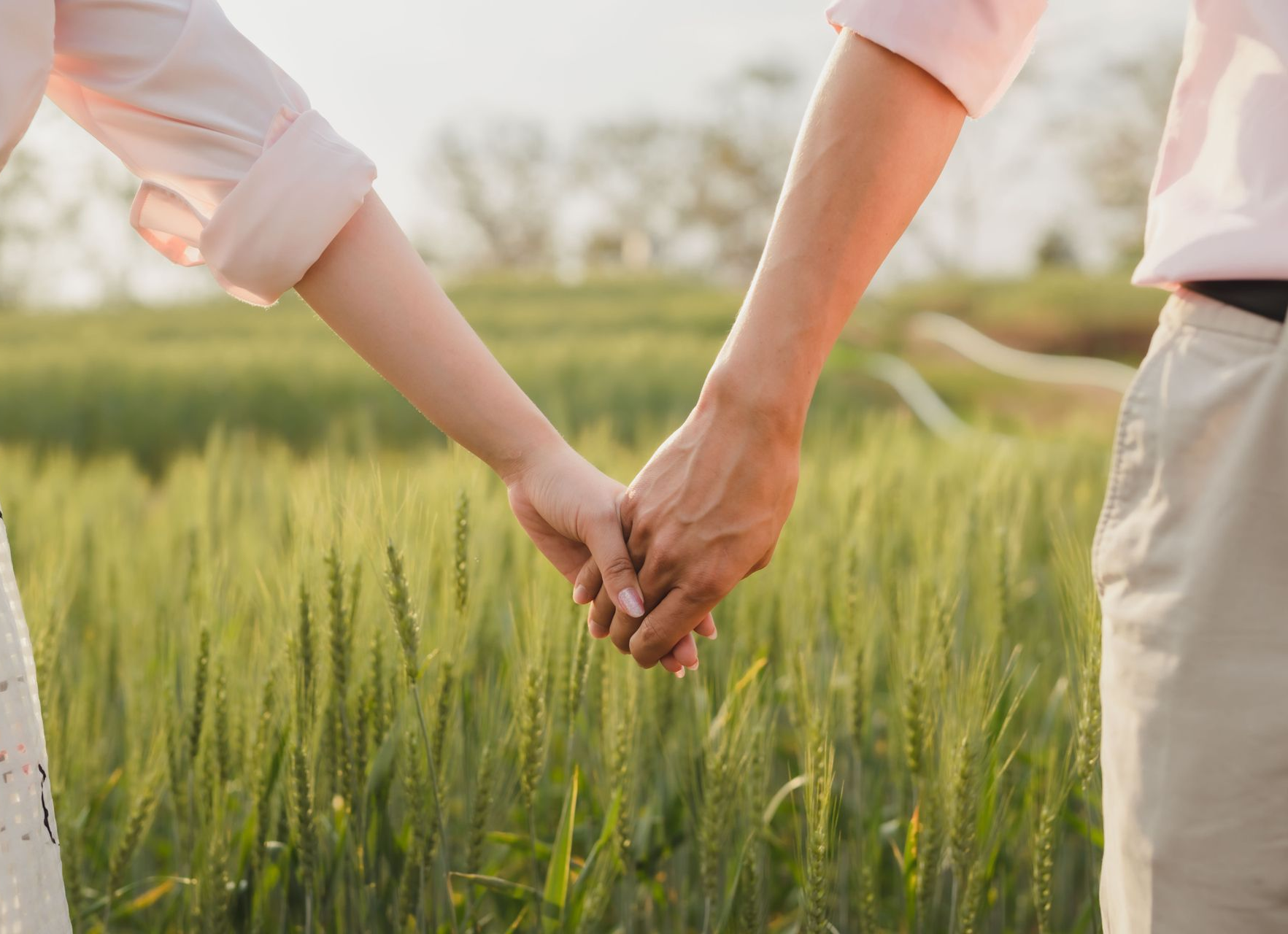 Two people holding hands in a green field at sunset
