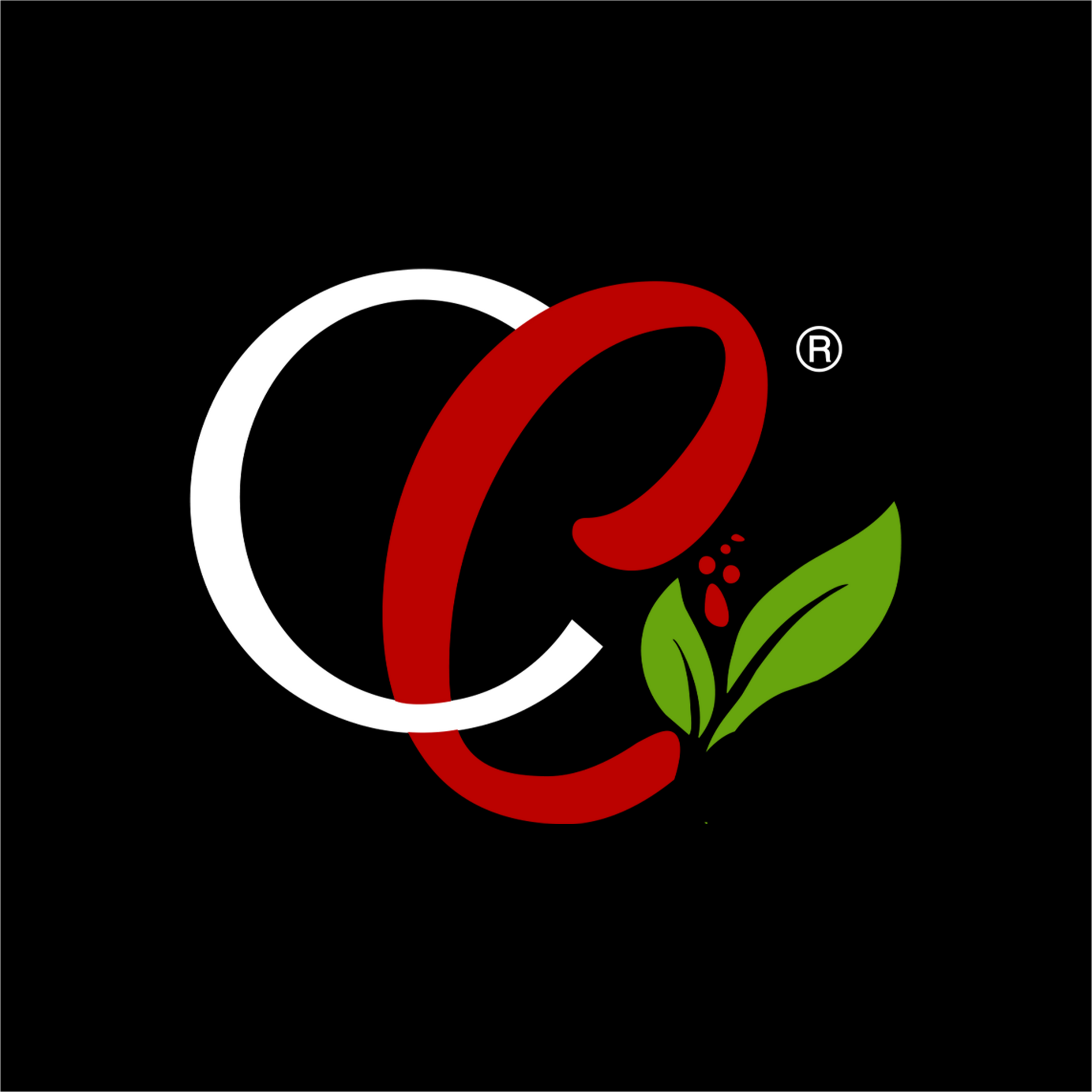 Casino Criollo