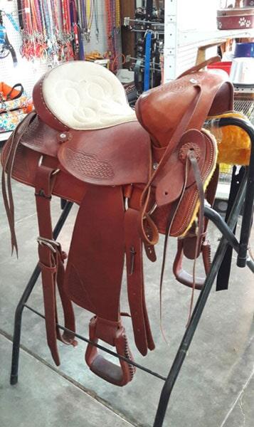 GRUPO SOCOADA-monturas