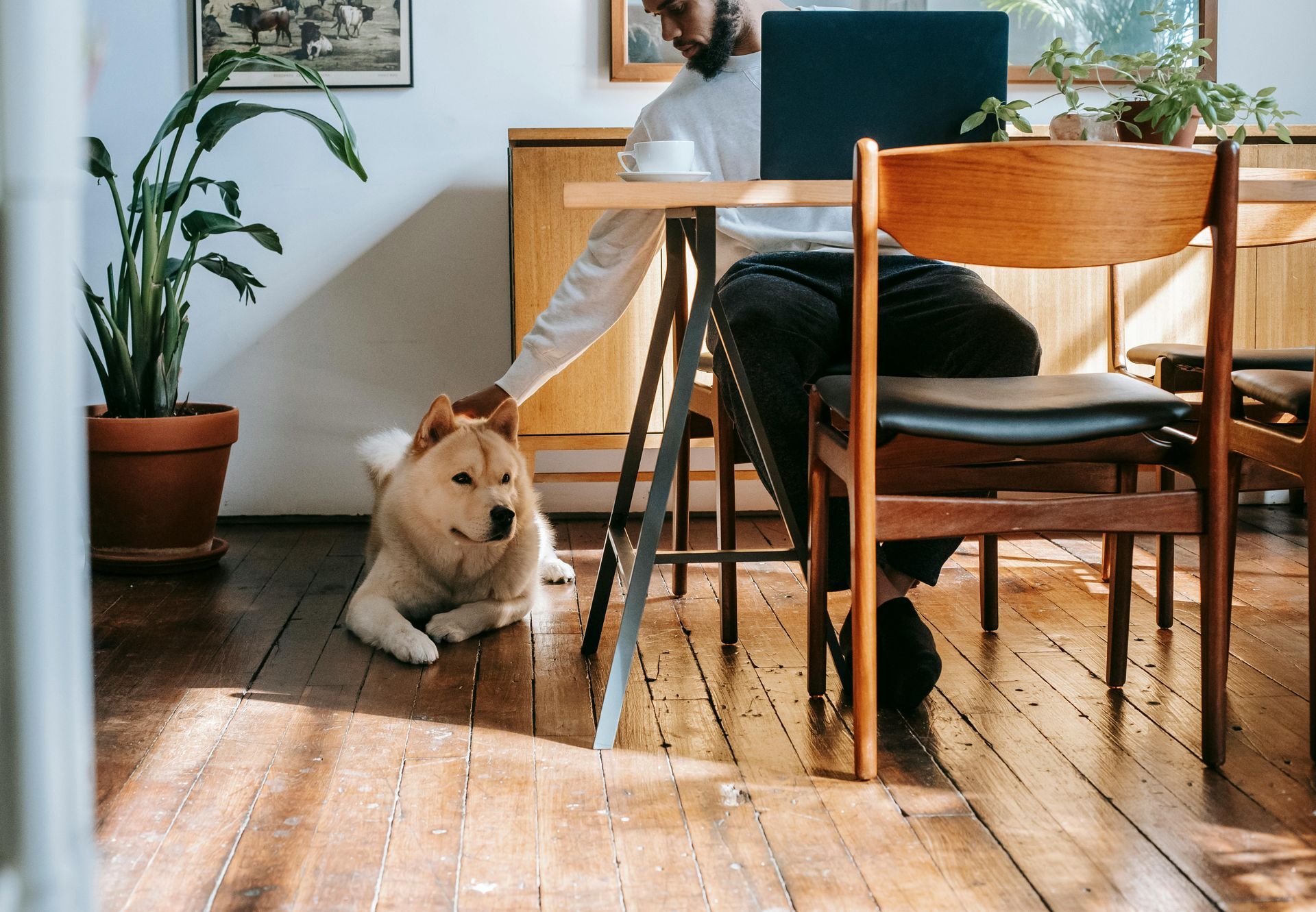 Person petting a dog lying on a hardwood floor, while working at a table with a laptop.