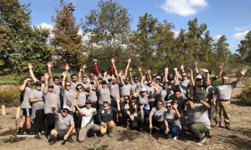 Group of people with arms raised in a tree planting area. Trees and blue sky visible.