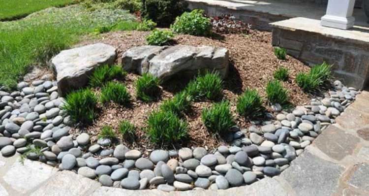 Landscaping & Lawn Care 19