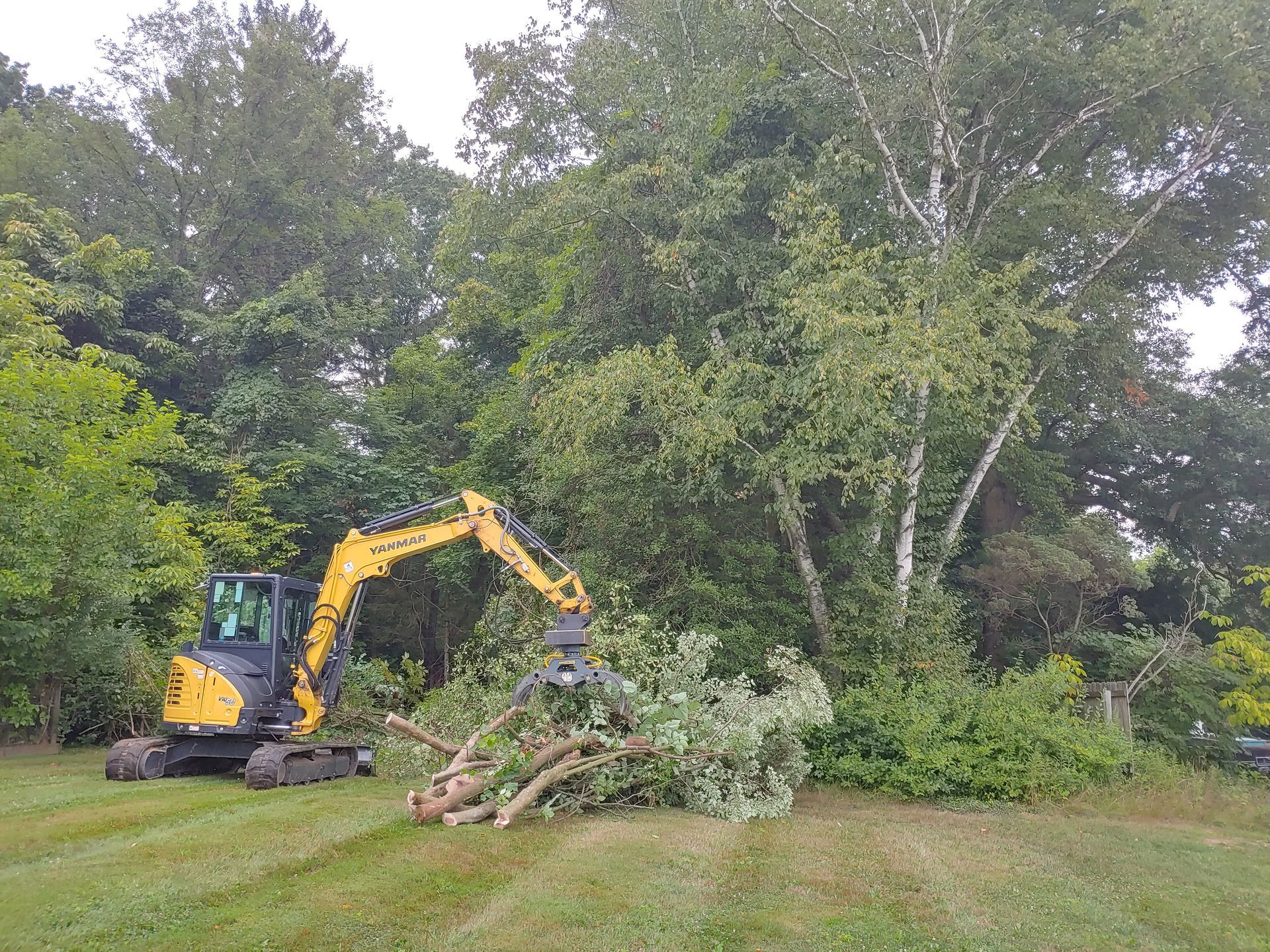 A yellow excavator is cutting down trees in a yard.