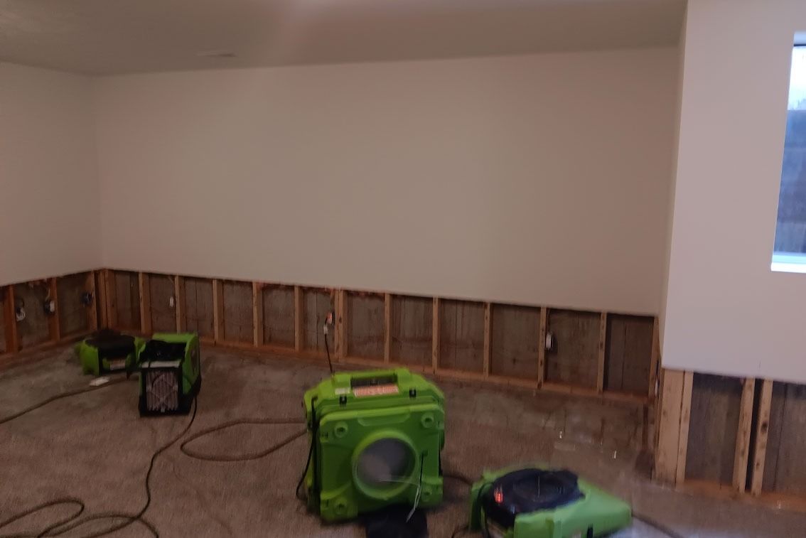 Partially stripped room with exposed wall studs and green tools on the floor