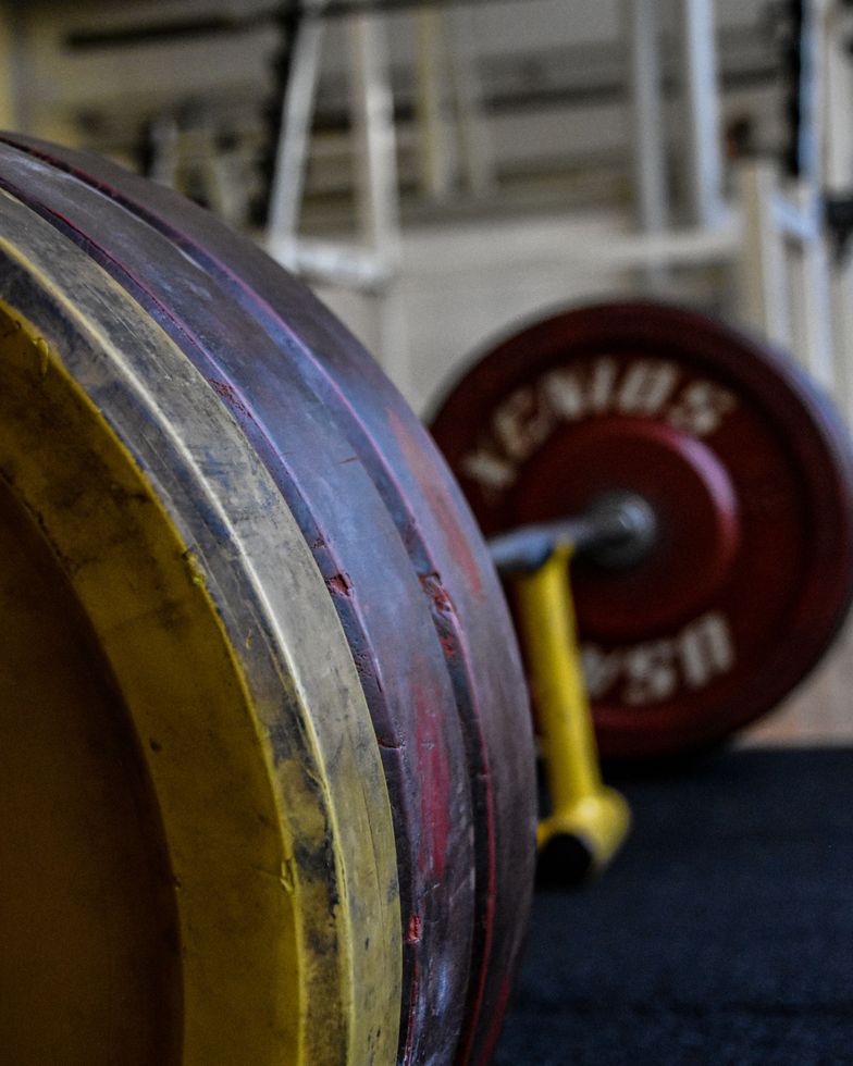 Gym a Reggio Emilia
