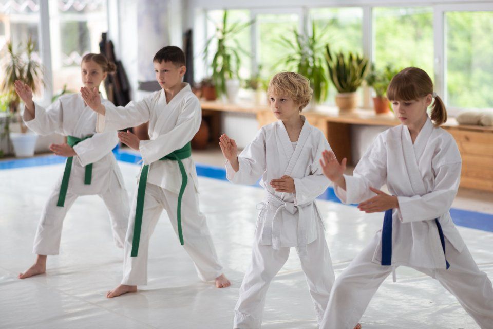 Brazilian Ju Jitsu